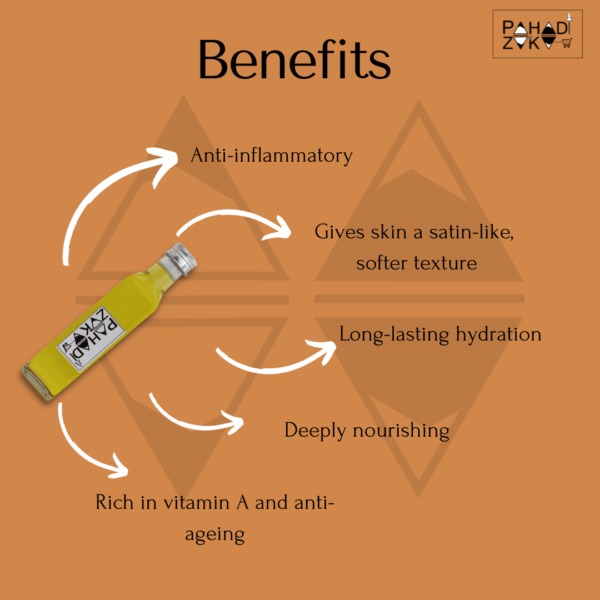 apricot oil benefits