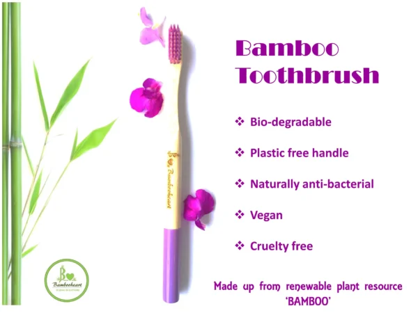 bamboo toothbrush benefits