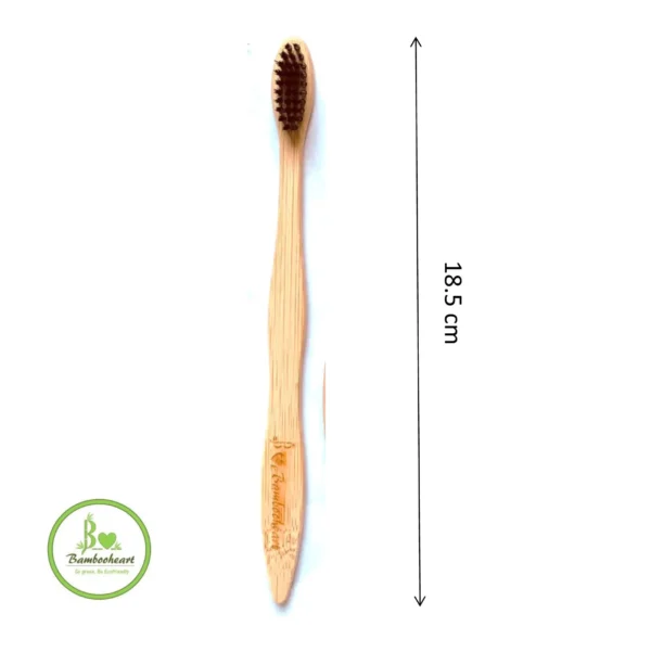 bamboo toothbrush measurement nova