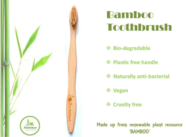 benefit of bamboo toothbrush