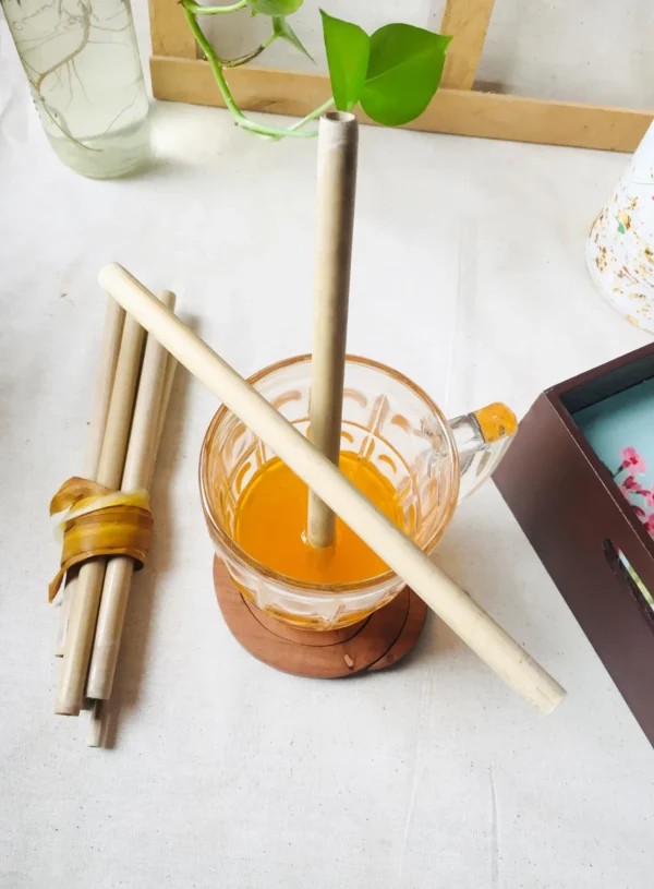 disposable bamboo straw