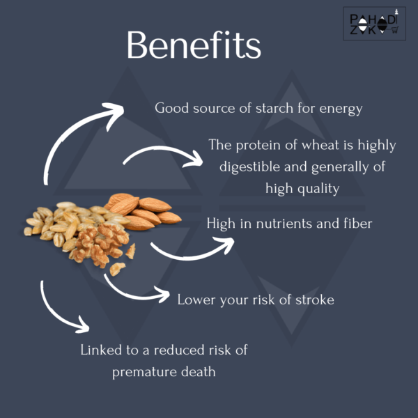 roasted wheat snack benefits