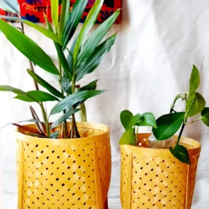 bamboo basket for plants set