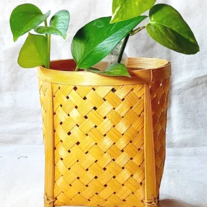 handmade bamboo basket
